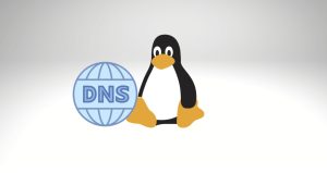 如何在 Linux 上刷新 DNS 缓存？